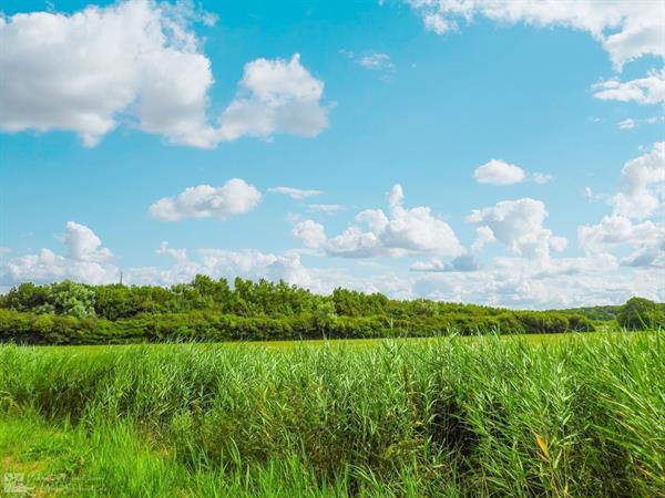 Grote foto 22 persoons groepsaccommodatie 5 aan de zeeuwse kust te huur vakantie overige vakantiewoningen huren