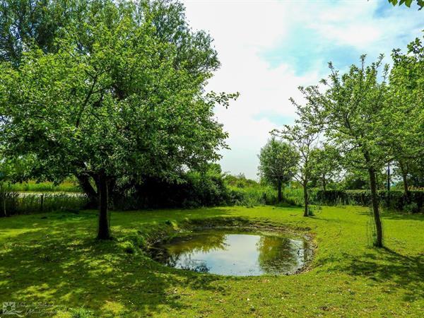 Grote foto prachtige 4 persoons vakantieappartement in serooskerke nabi vakantie overige vakantiewoningen huren