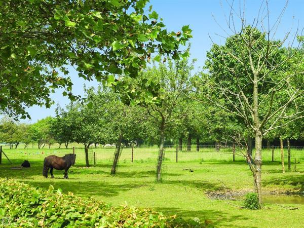 Grote foto prachtige 4 persoons vakantieappartement in serooskerke nabi vakantie overige vakantiewoningen huren