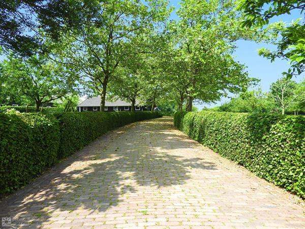 Grote foto prachtige 4 persoons vakantieappartement in serooskerke nabi vakantie overige vakantiewoningen huren