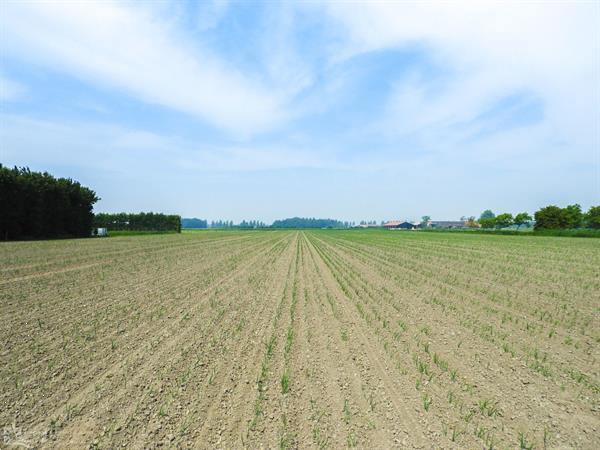 Grote foto prachtige 4 persoons vakantieappartement in serooskerke nabi vakantie overige vakantiewoningen huren