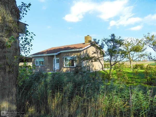 Grote foto 5 persoons bungalow in vrouwenpolder op walcheren vakantie overige vakantiewoningen huren