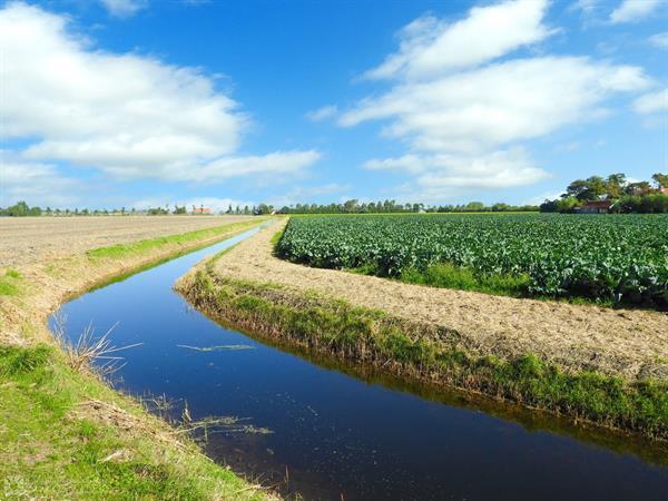 Grote foto 5 persoons bungalow in vrouwenpolder op walcheren vakantie overige vakantiewoningen huren