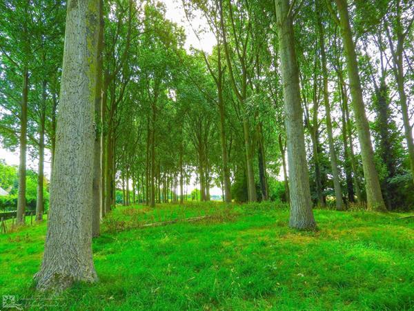 Grote foto sfeervolle 16 persoons groepsaccommodatie in aardenburg bij vakantie overige vakantiewoningen huren