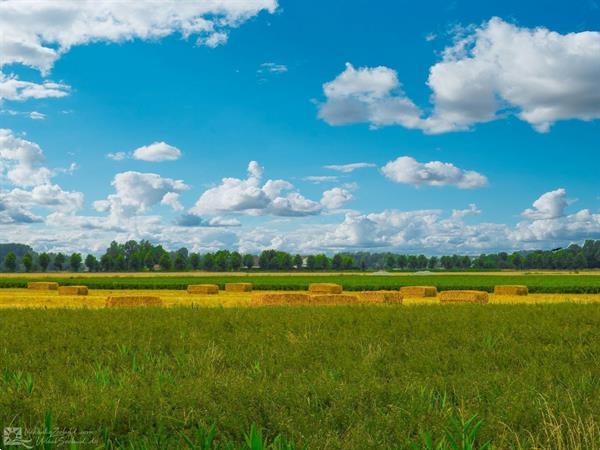 Grote foto sfeervolle 16 persoons groepsaccommodatie in aardenburg bij vakantie overige vakantiewoningen huren