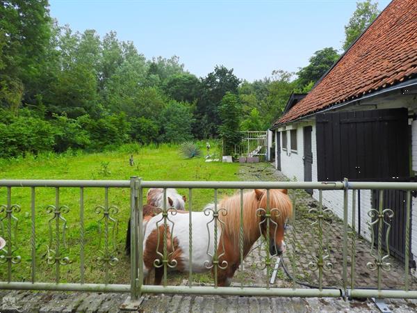 Grote foto gezellige 18 25 persoons groepsaccommodatie nabij renesse di vakantie overige vakantiewoningen huren