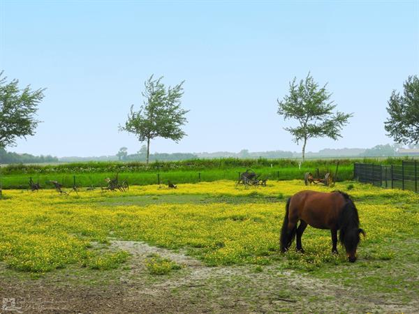 Grote foto gezellige 18 25 persoons groepsaccommodatie nabij renesse di vakantie overige vakantiewoningen huren