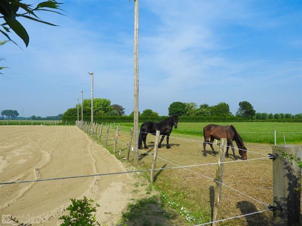 Grote foto groepsaccommodatie guesthouse voor 18 20 personen aangepast vakantie overige vakantiewoningen huren