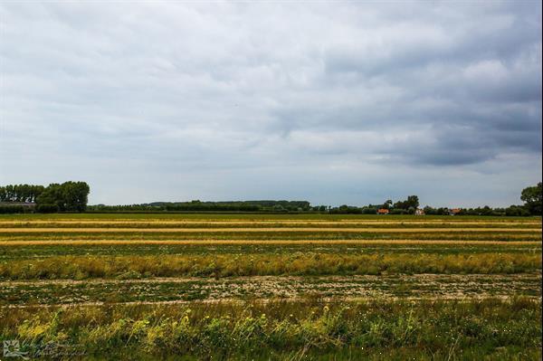 Grote foto 6 persoons vakantiehuis in zuidzande vakantie overige vakantiewoningen huren