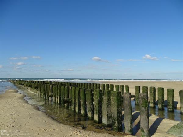 Grote foto 4 persoons ruim chalet vlakbij het veerse meer en oostkapell vakantie overige vakantiewoningen huren