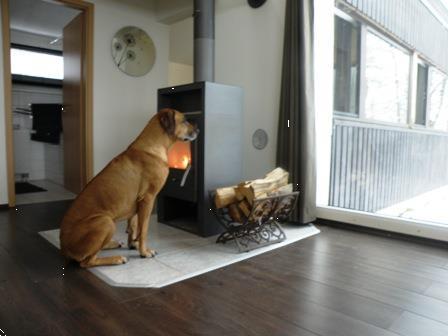 Grote foto luxe huis sauerland met sauna hond welkom vakantie duitsland west