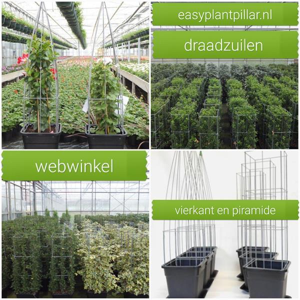 Grote foto webwinkel voor verticaal tuinieren verticale tuin tuin en terras klimplanten