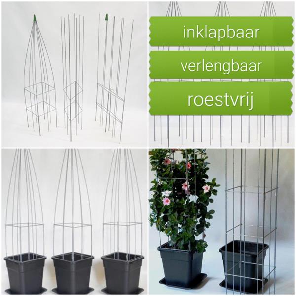 Grote foto webwinkel voor verticaal tuinieren verticale tuin tuin en terras klimplanten