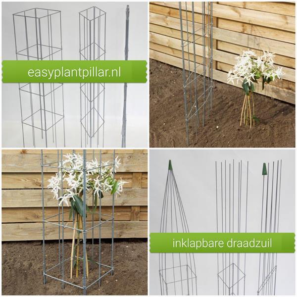 Grote foto webwinkel voor verticaal tuinieren verticale tuin tuin en terras klimplanten