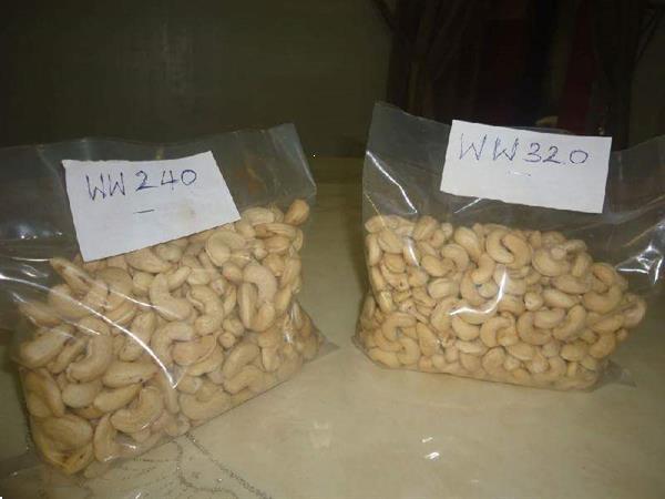 Grote foto premiumkwaliteit cashewnoten uit tanzania agrarisch akkerbouw