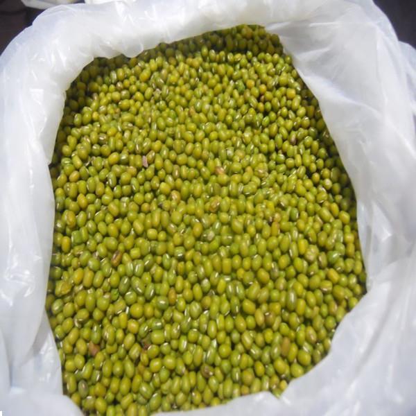 Grote foto best quality green mung beans available for supply agrarisch landbouw