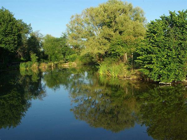 Grote foto vakantie bij belgen in dordogne verwarmd zwembad vakantie frankrijk