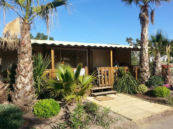 Grote foto zeer mooie stacaravan frejus en st tropez vakantie frankrijk