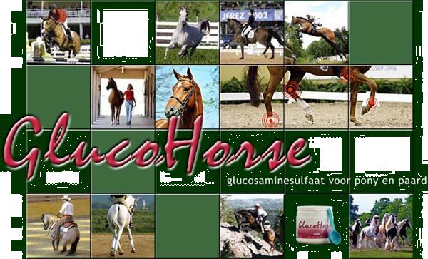 Grote foto glucohorse glucosamine voor paard en pony dieren en toebehoren verzorgingsproducten