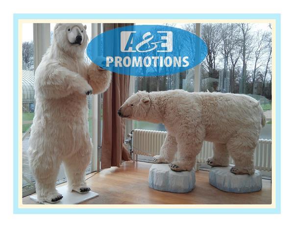 Grote foto ijs decoratie verhuur ijsblokken ijsbeer huren diensten en vakmensen entertainment