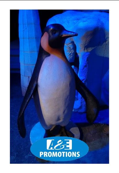 Grote foto grote pinguins figuren zuidpool huren gent brugge diensten en vakmensen entertainment