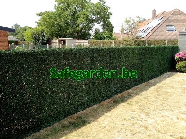 Grote foto buxus kunsthaag safegarden zeer scherpe prijzen tuin en terras hekken en schuttingen