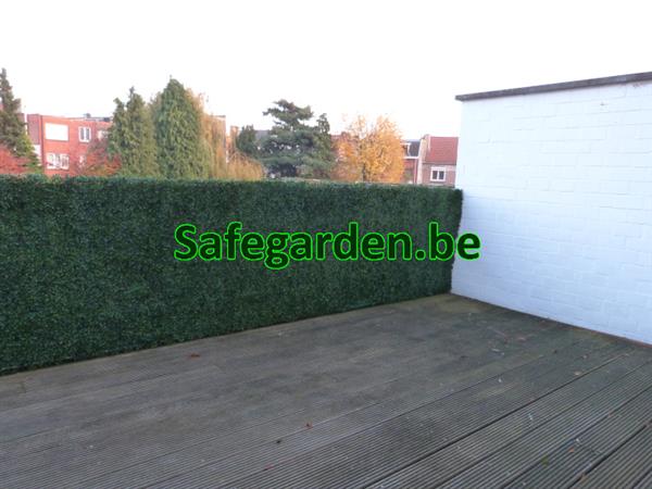 Grote foto buxus kunsthaag safegarden zeer scherpe prijzen tuin en terras hekken en schuttingen
