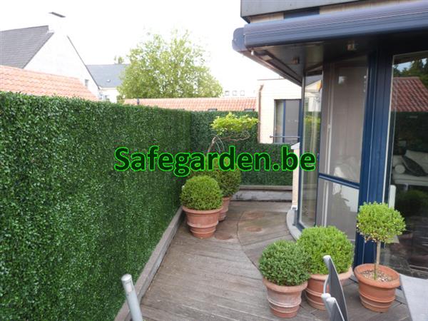 Grote foto buxus kunsthaag safegarden zeer scherpe prijzen tuin en terras hekken en schuttingen