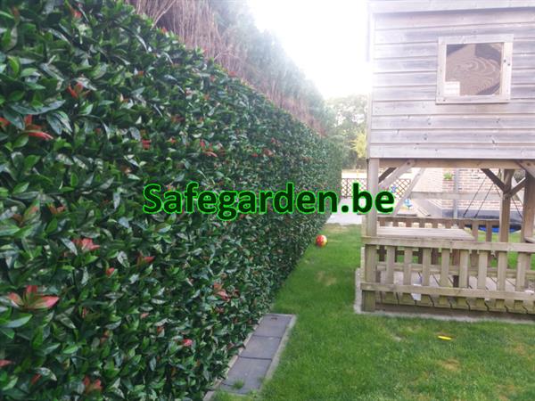 Grote foto laurier kunsthaag safegarden zeer scherpe prijzen tuin en terras hekken en schuttingen