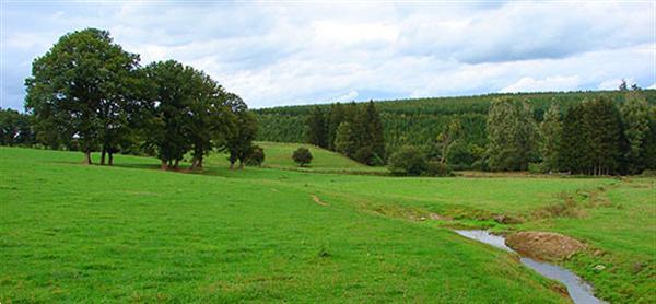 Grote foto steinbach ardennen 8 personen vakantie belgi