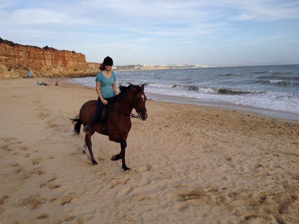 Grote foto paardrijvakanties in andalusie vakantie spaanse kust