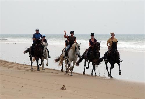 Grote foto paardrijvakanties in andalusie vakantie spaanse kust