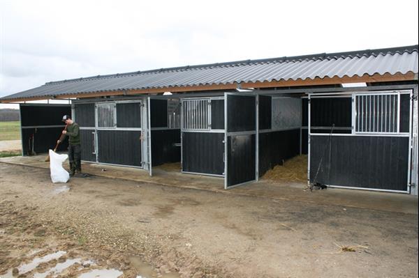 Grote foto paardenboxen buitenboxen buitenstal buitenstalling dieren en toebehoren stalling en weidegang