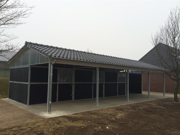Grote foto paardenboxen buitenboxen buitenstal buitenstalling dieren en toebehoren stalling en weidegang
