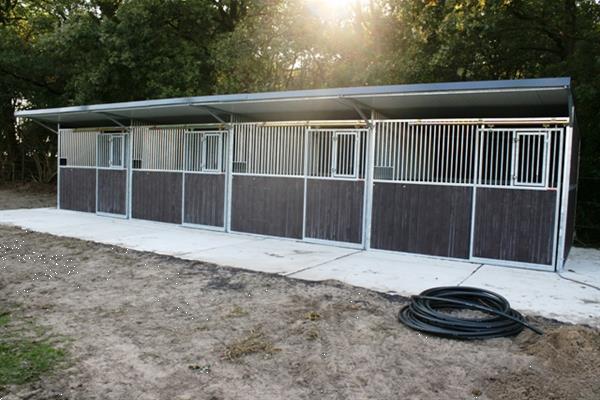 Grote foto paardenboxen buitenboxen buitenstal buitenstalling dieren en toebehoren stalling en weidegang
