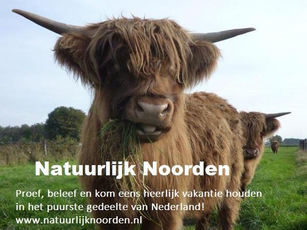 Grote foto deze zomer wilt u natuurlijk noorden vakantie nederland noord