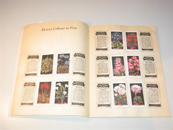 Grote foto an album of cigarette cards flowers boeken overige boeken