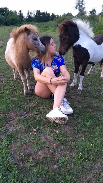 Grote foto prachtig appaloosa hengst jaarling shetlander dieren en toebehoren pony