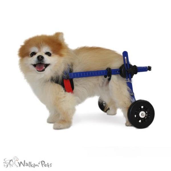 Grote foto hondenrolstoel voor honden en katten walkin wheels dieren en toebehoren toebehoren