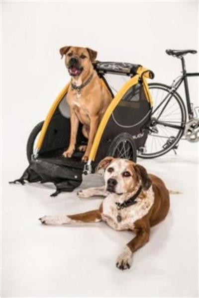 Grote foto burley tail wagon hondenfietskarren fietsen en brommers aanhangers en karren
