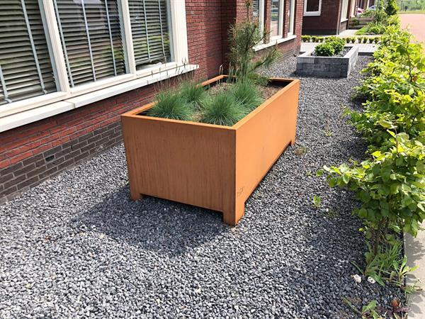 Grote foto plantenbak cortenstaal voordeligste van belgie tuin en terras bloembakken