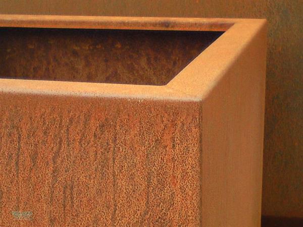 Grote foto plantenbak cortenstaal voordeligste van belgie tuin en terras bloembakken