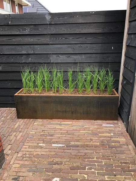 Grote foto plantenbak cortenstaal voordeligste van belgie tuin en terras bloembakken