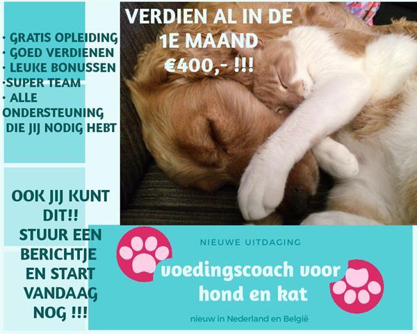 Grote foto voedingscoach voor hond en kat vacatures thuiswerk