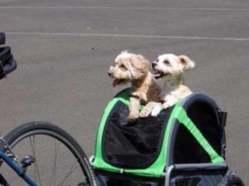 Grote foto hondenfietskar en buggy van doggyride mini dieren en toebehoren toebehoren