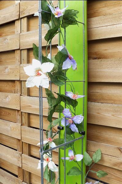 Grote foto clematis tegen de muur of schutting rozenrek tuin en terras bloemen en planten