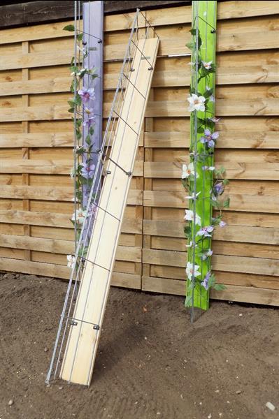 Grote foto clematis tegen de muur of schutting rozenrek tuin en terras bloemen en planten