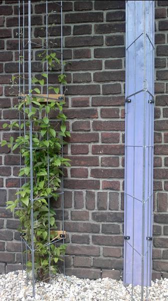 Grote foto clematis tegen de muur of schutting rozenrek tuin en terras bloemen en planten