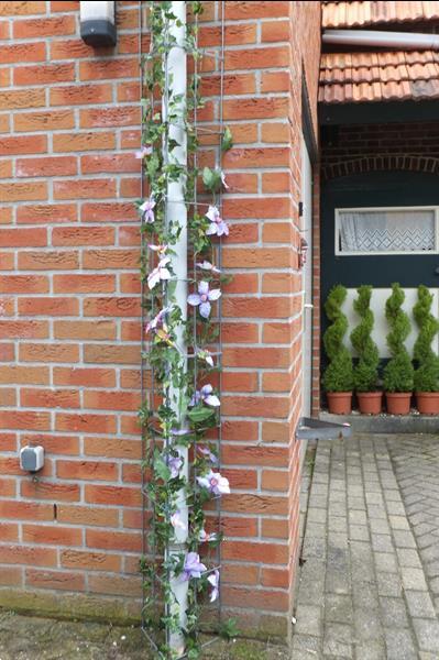 Grote foto clematis tegen de muur of schutting rozenrek tuin en terras bloemen en planten