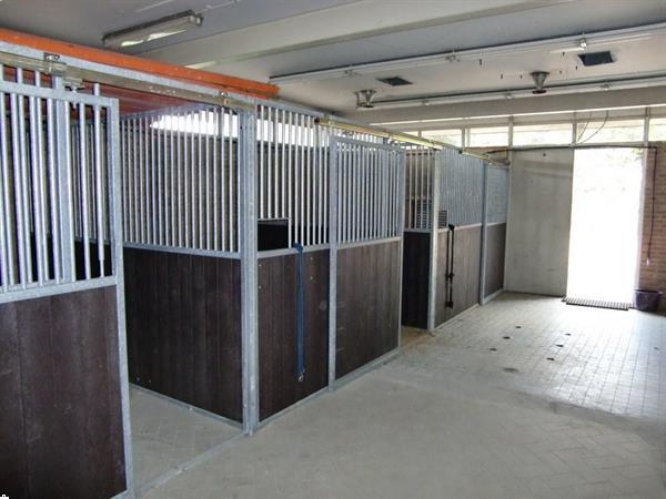 Grote foto paardenboxen paardenbox paardenstal paardenstallen dieren en toebehoren stalling en weidegang